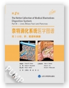 奈特消化系统医学图谱（第2版） 第3卷：肝、胆道和胰腺