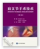 肩关节手术技术（第2版）