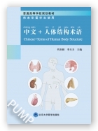 中文 + 人体结构术语